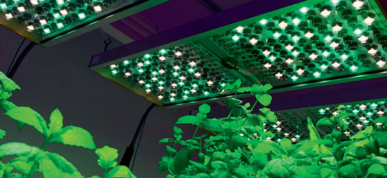 Zastosowanie technologii UV LED w rolnictwie 