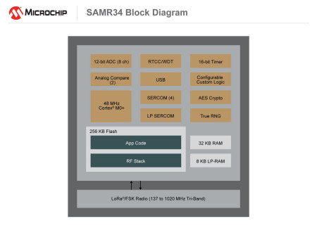 Microchip