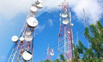 Polska Telefonia Cyfrowa niezainteresowana przejęciem Netii 
