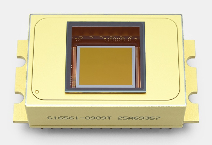 Czujniki obrazu InGaAs 640 x 512 pikseli na zakres bliskiej podczerwieni