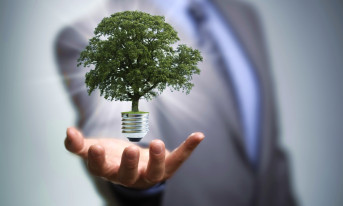 W Płocku "wyrośnie" energetyczne drzewko
