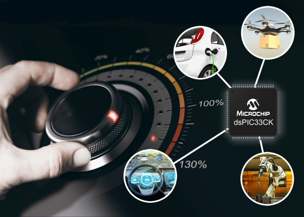 Microchip