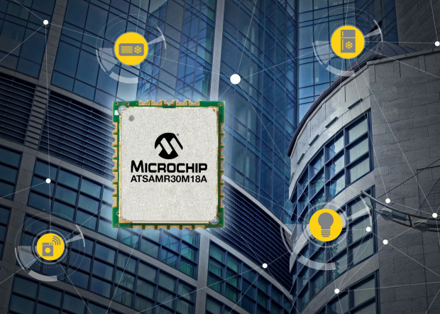 Microchip