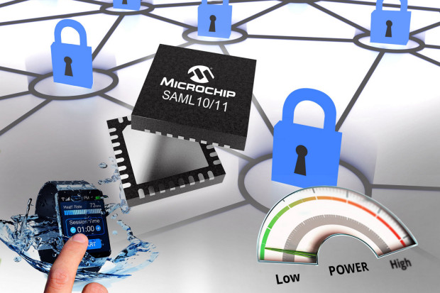 Microchip