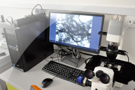 Na Politechnice Warszawskiej działa laboratorium grafenowe