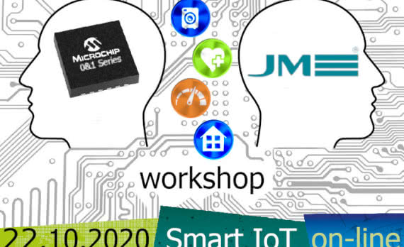 Smart IoT | 0&1 Series Microchip 