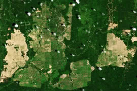 Obrazowanie satelitarne potencjalnym motorem rozwoju rolnictwa 