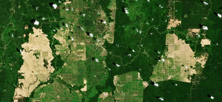 Obrazowanie satelitarne potencjalnym motorem rozwoju rolnictwa 
