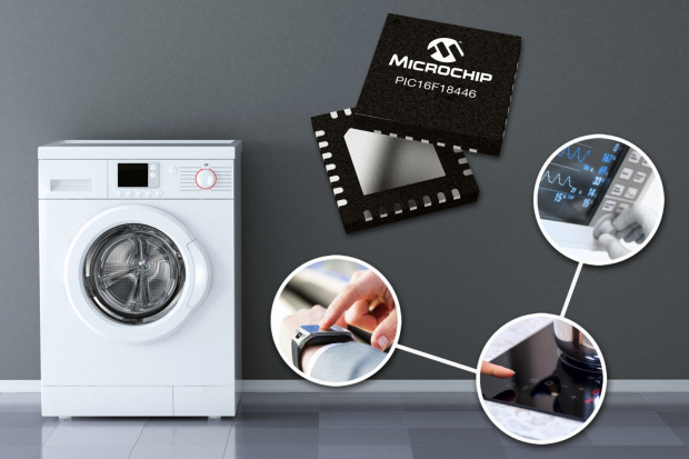 Microchip