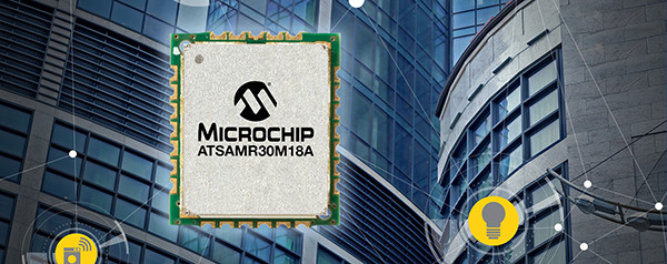 Microchip